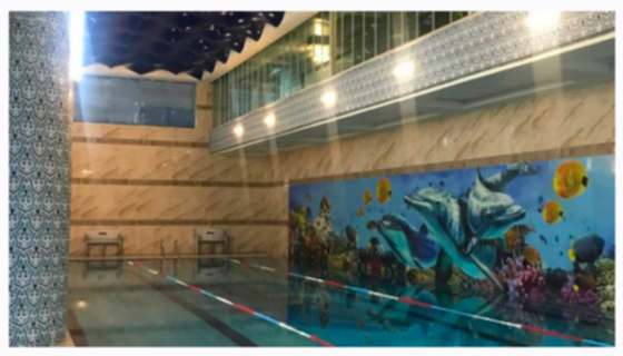 Yarı Olimpik Yüzme Havuzu